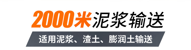 盾構(gòu)泥漿輸送泵