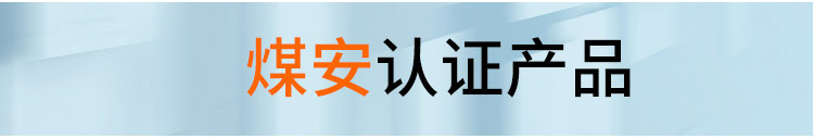 盾構(gòu)泥漿輸送泵