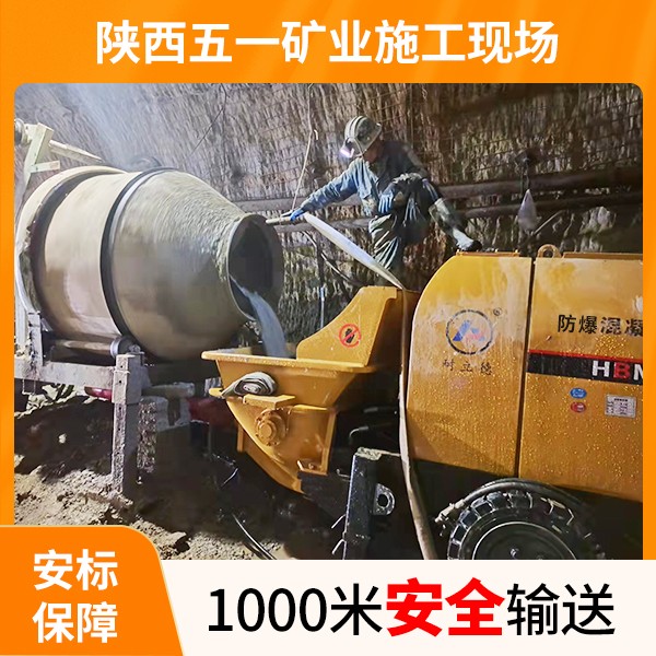 防爆混凝土泵.jpg