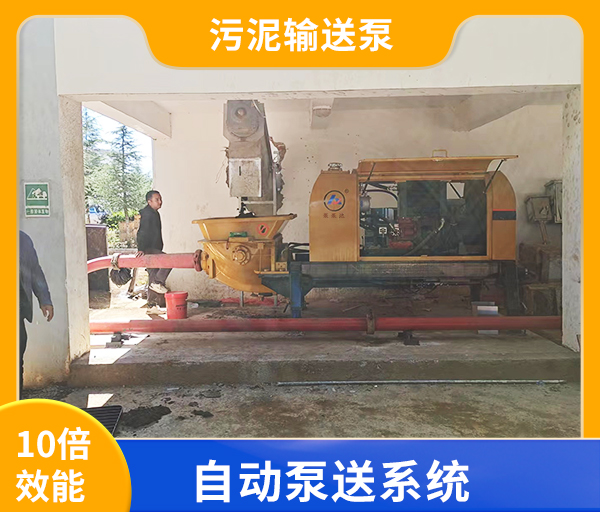 高壓污泥輸送泵.jpg